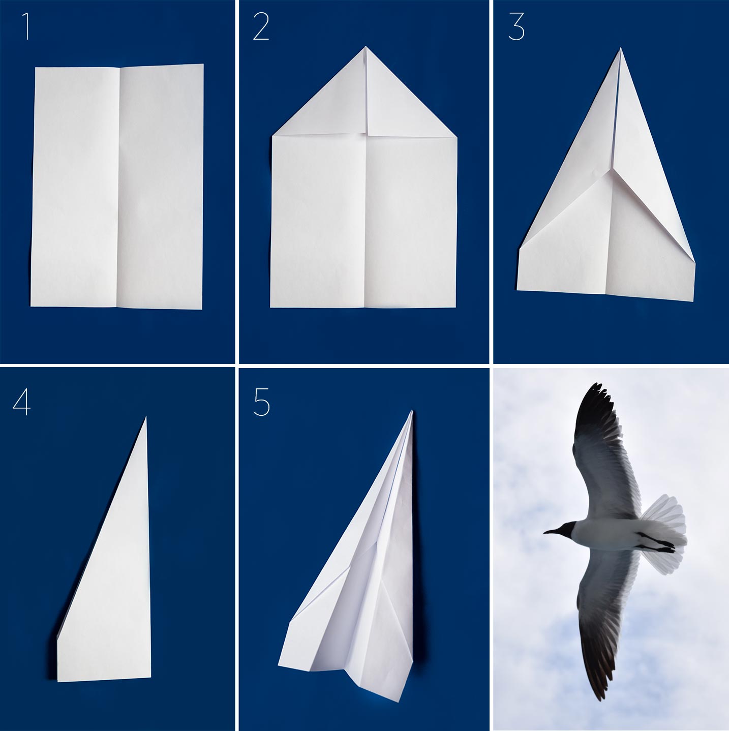 Cómo hacer avión de papel